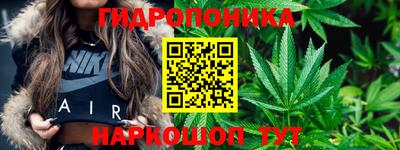 jwh Кандалакша