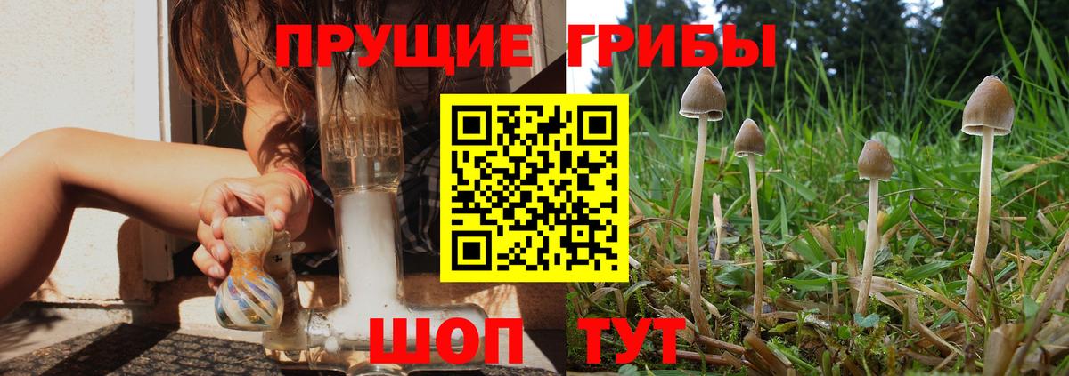 Псилоцибиновые грибы мухоморы  Вход с VPN  Майкоп 