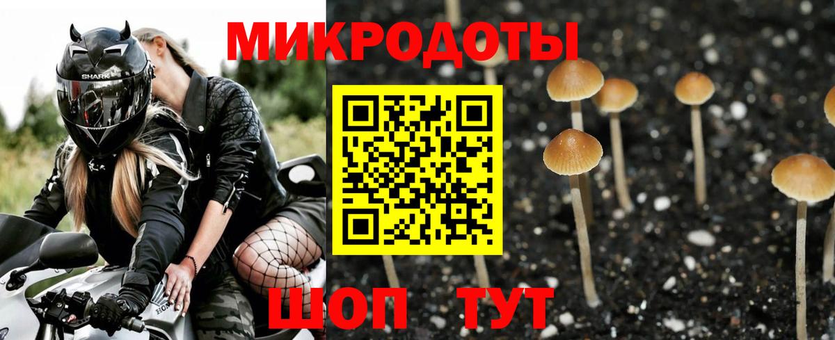 Псилоцибиновые грибы мухоморы Майкоп