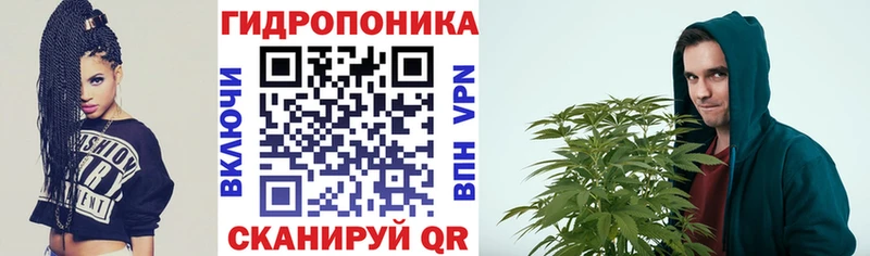 купить  сайты  Майкоп  Бошки марихуана конопля 